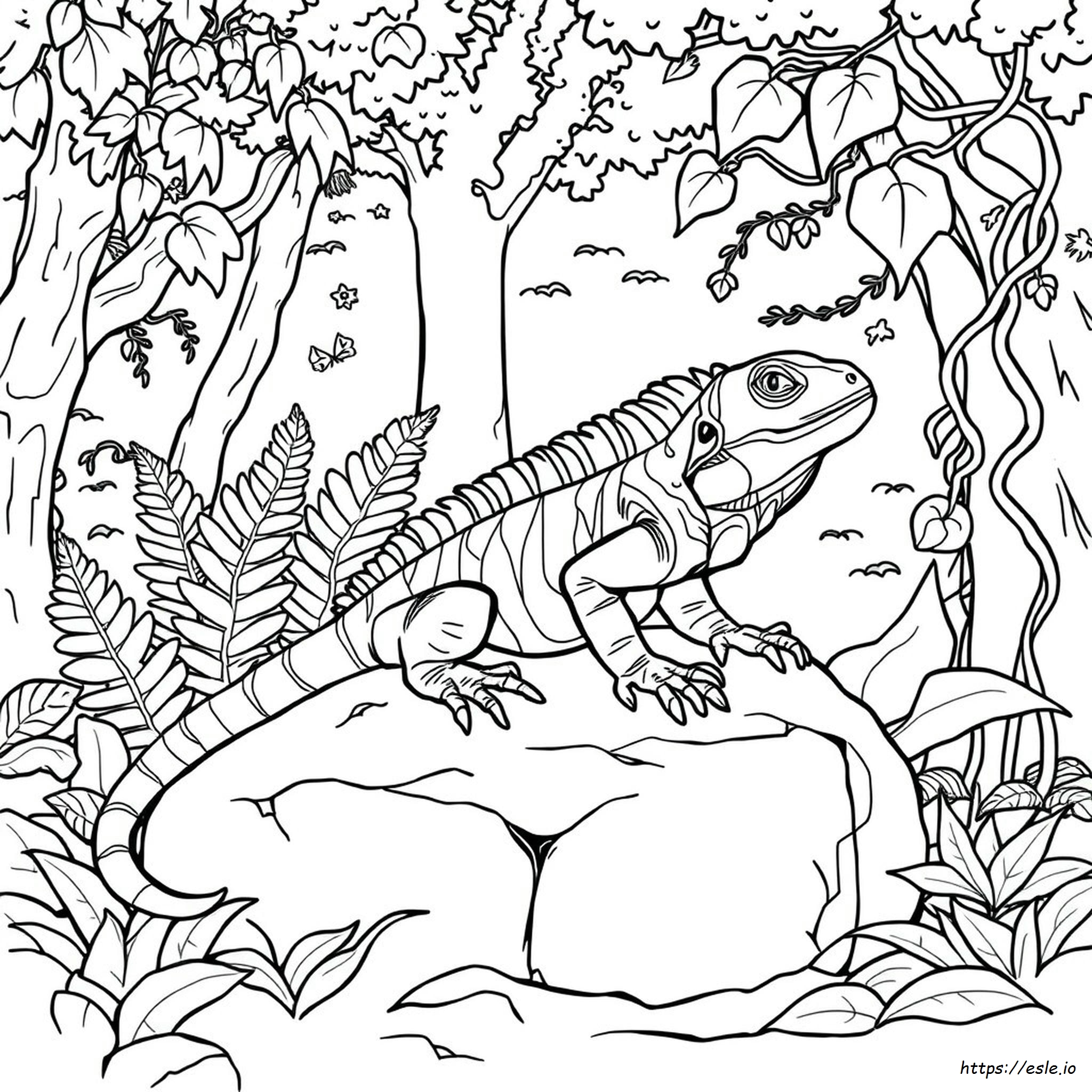 Realistic Iguana Coloring Page
