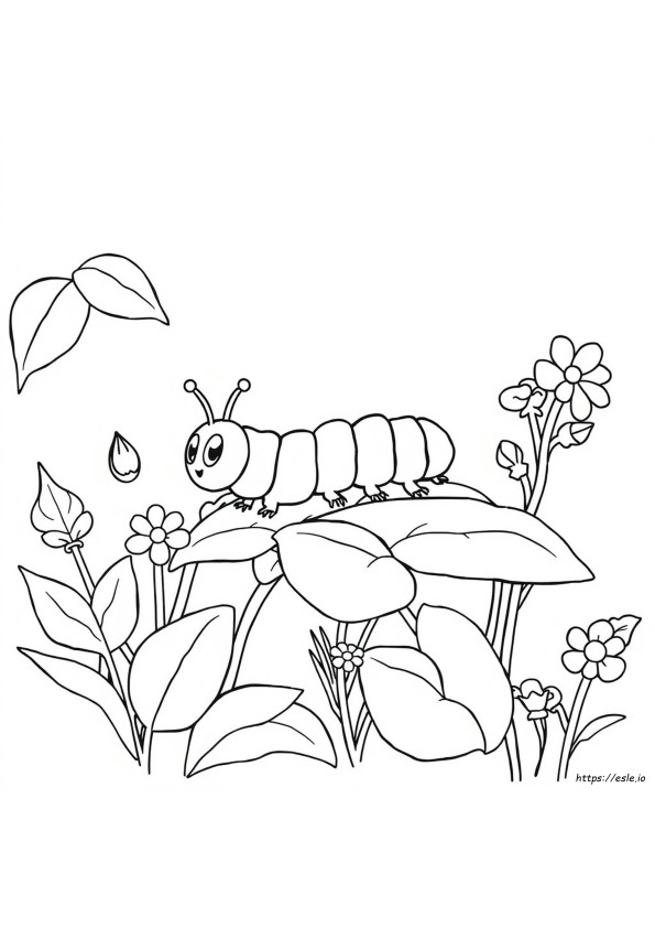 How To Colour Caterpillar