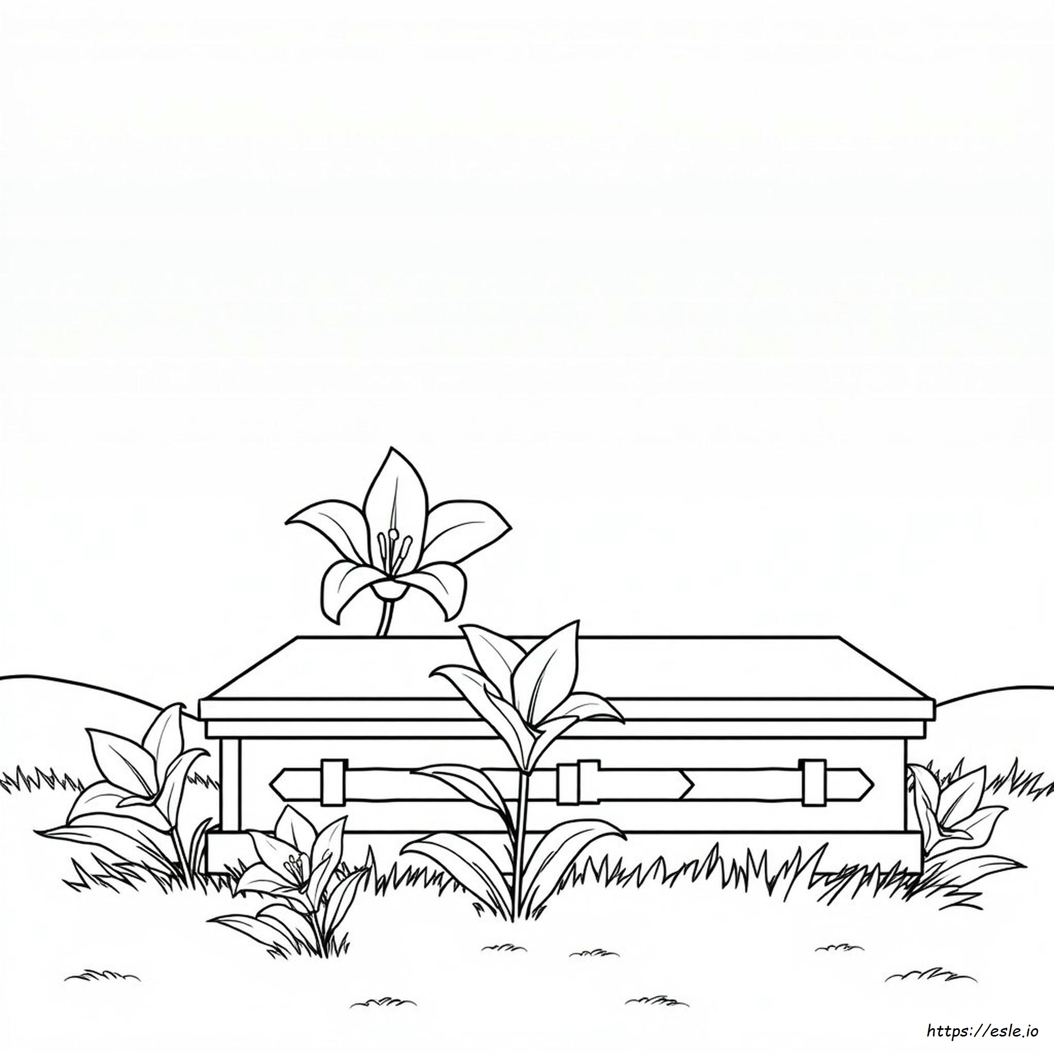 Gambar Mewarnai Peti Mati