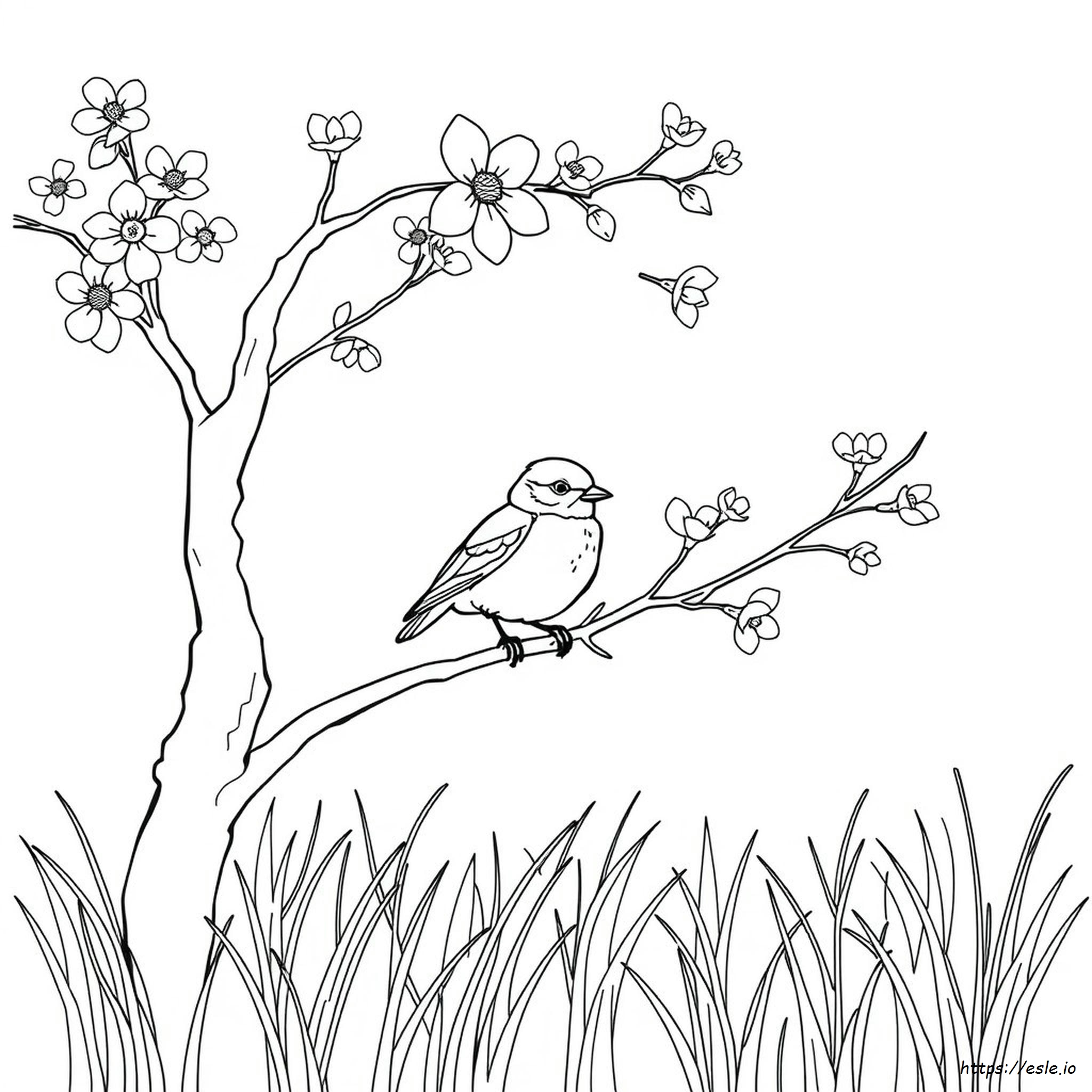 Coloriage Oiseau Bleu