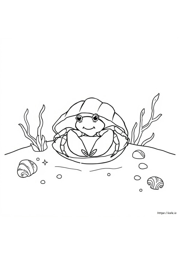 Hermit Crab Coloring Page