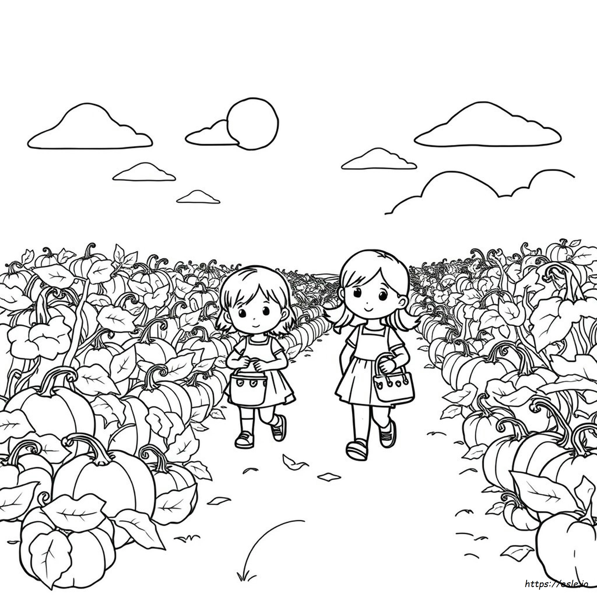 Preschool Pumpkin Patch Coloring Pages