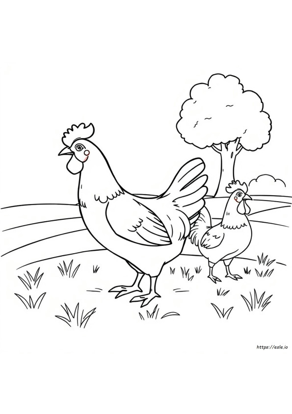 Chicken Colouring In