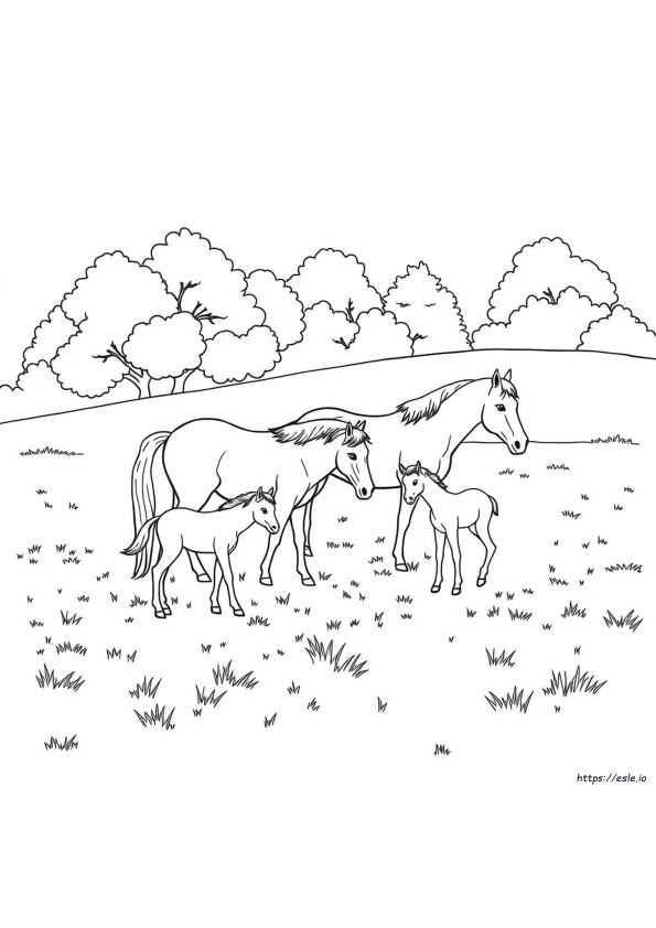 Cavalos E Potros Para Colorir