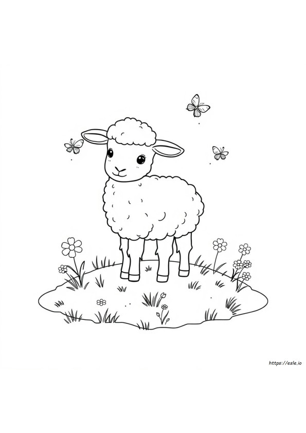 Schattig Lammetje Kleurplaten