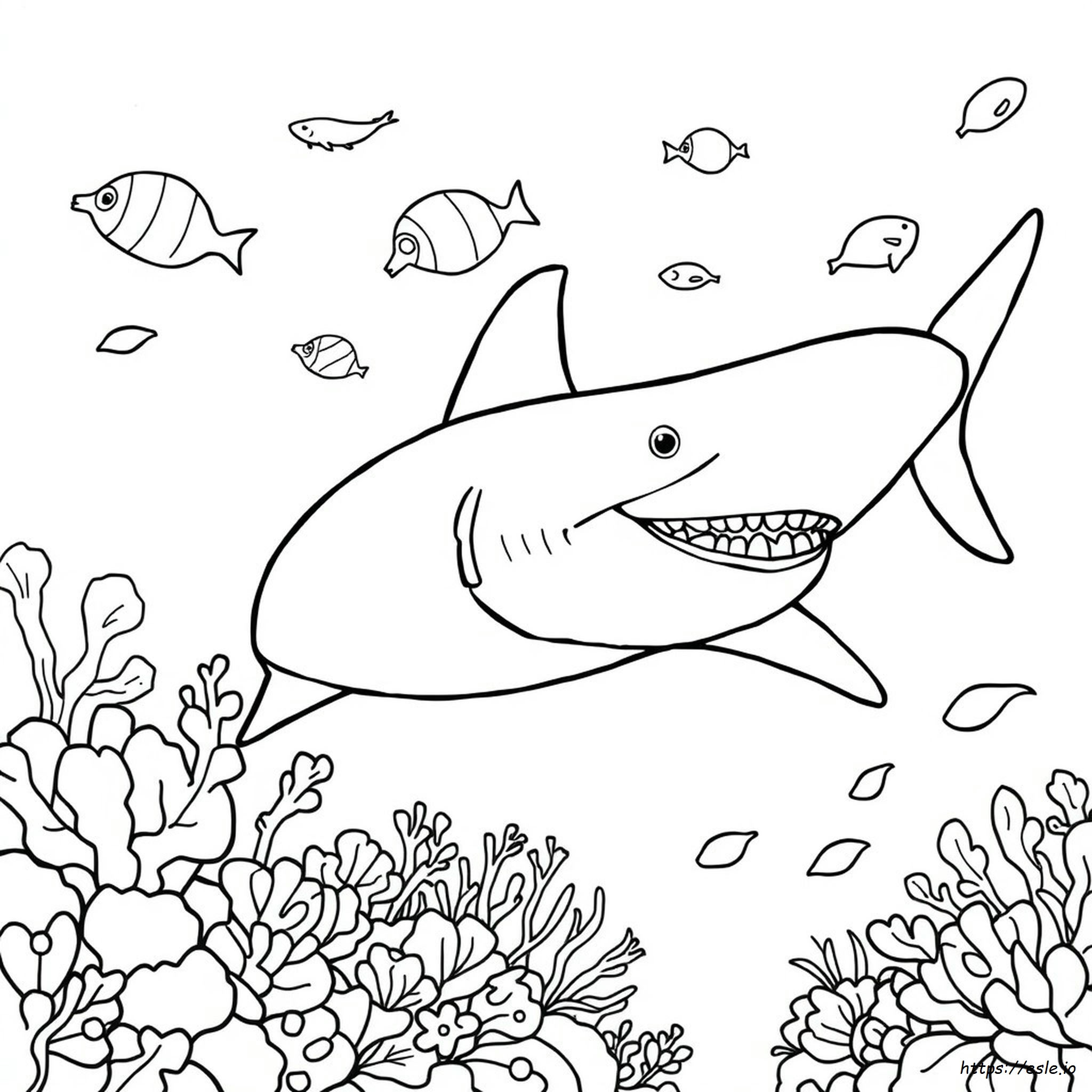 Real Shark Coloring Pages