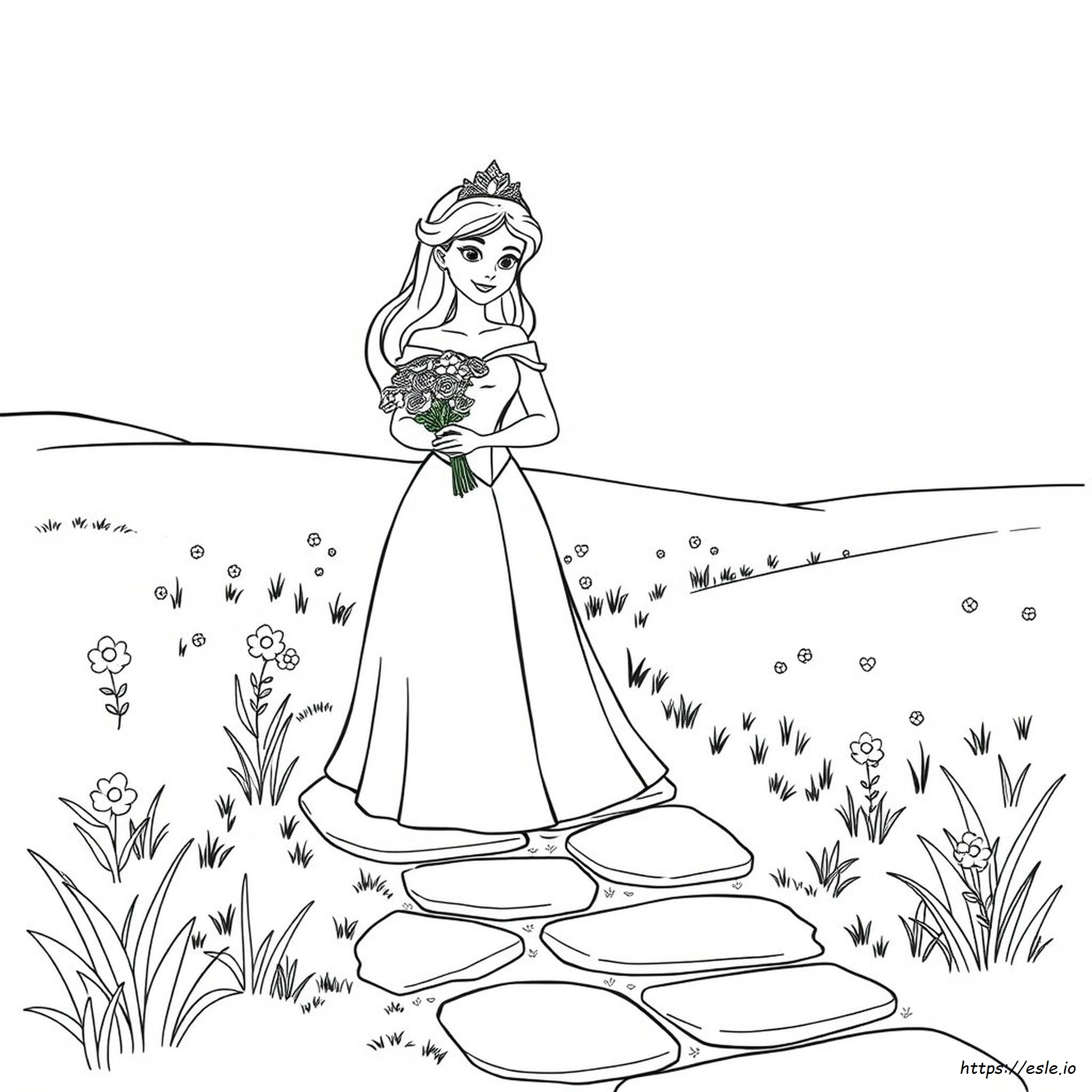 Disegno Principessa Da Colorare