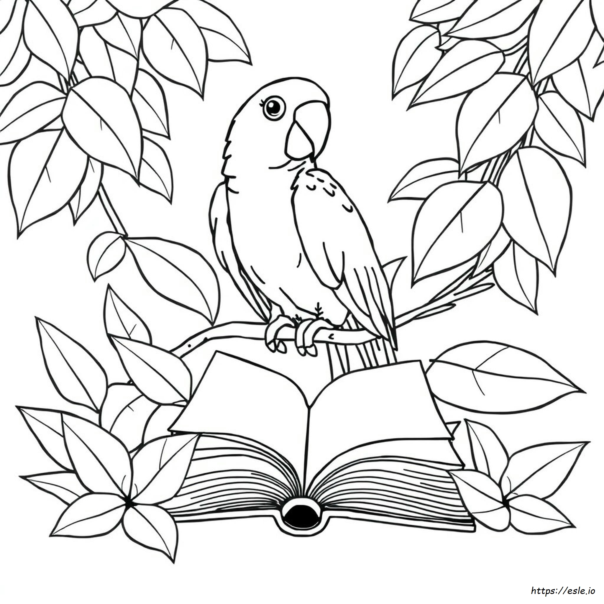 Parrot Coloring Pages For Adults