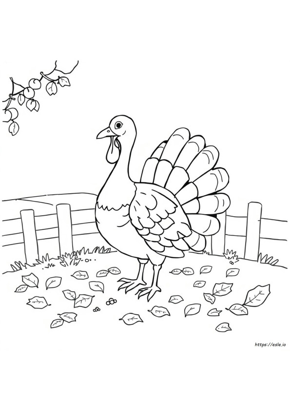 Coloriage Crée Ton Propre Dindon
