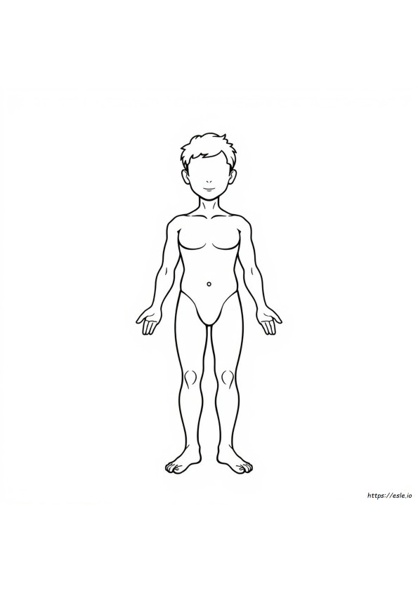 Human Body Colouring