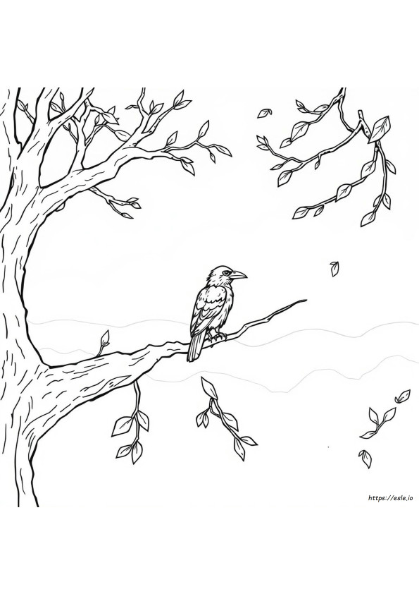 Gambar Mewarnai Burung Gagak