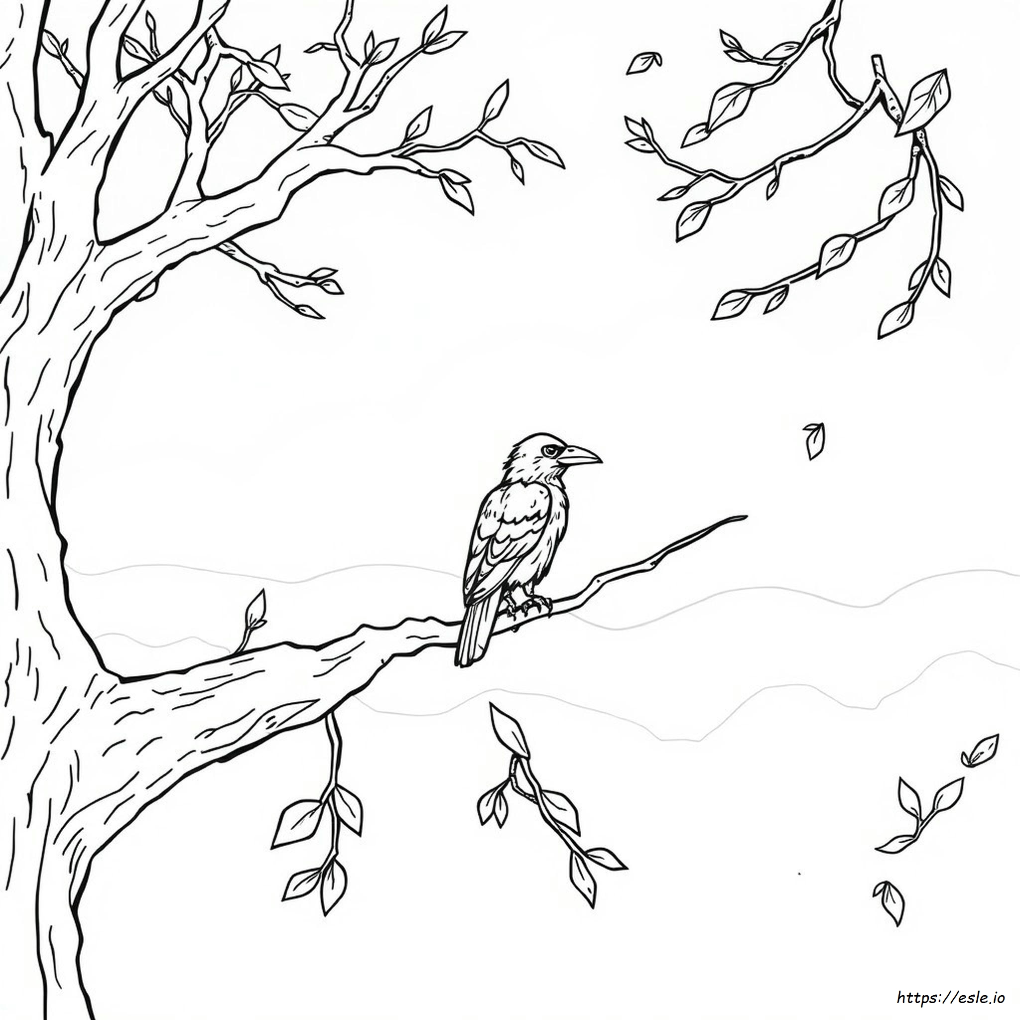 Coloring Page Of A Raven
