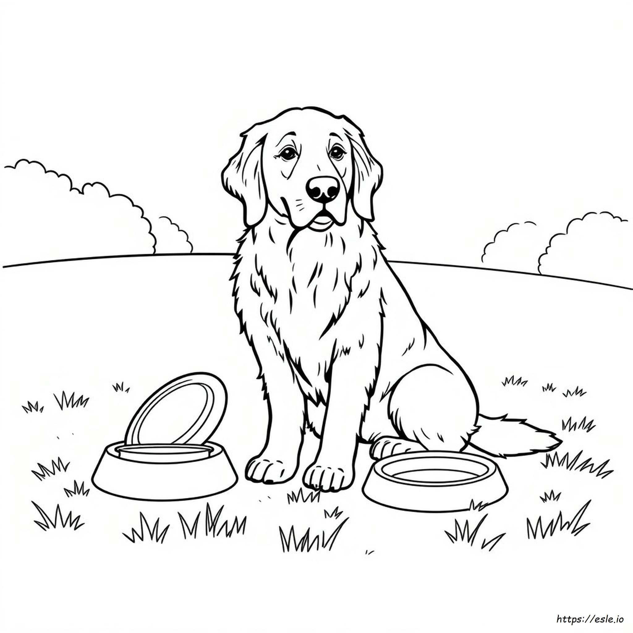 Golden Retriever Para Colorear