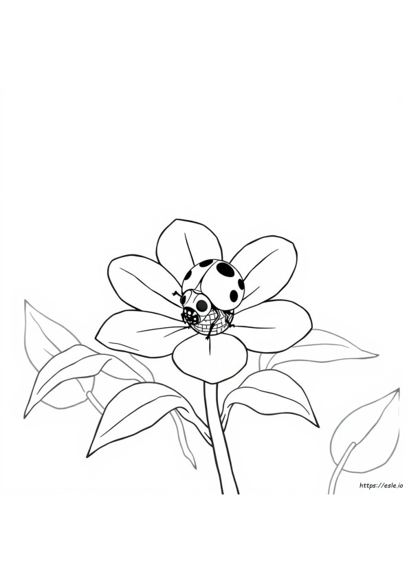 Lady Bug Coloring Pages Free