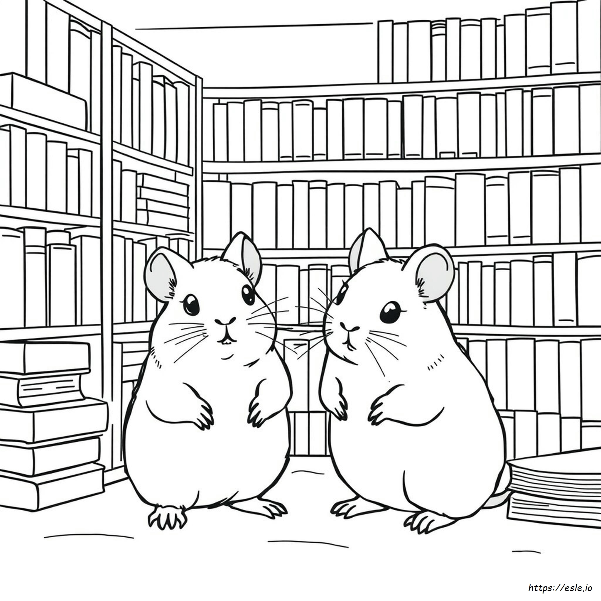 Are Gerbils Color Blind