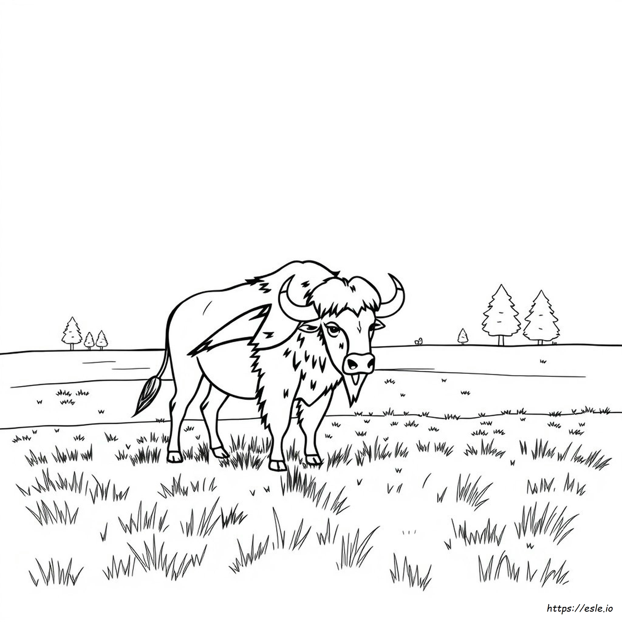 Buffalo Bills Colouring Pages