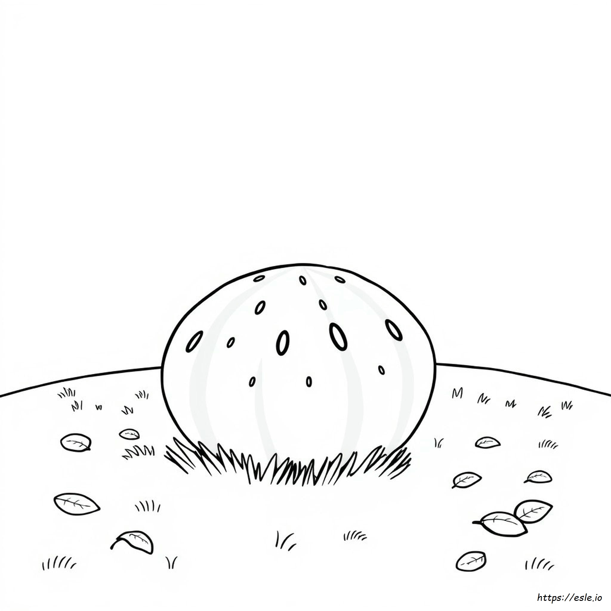 Watermelon Coloring Pages Preschoolers