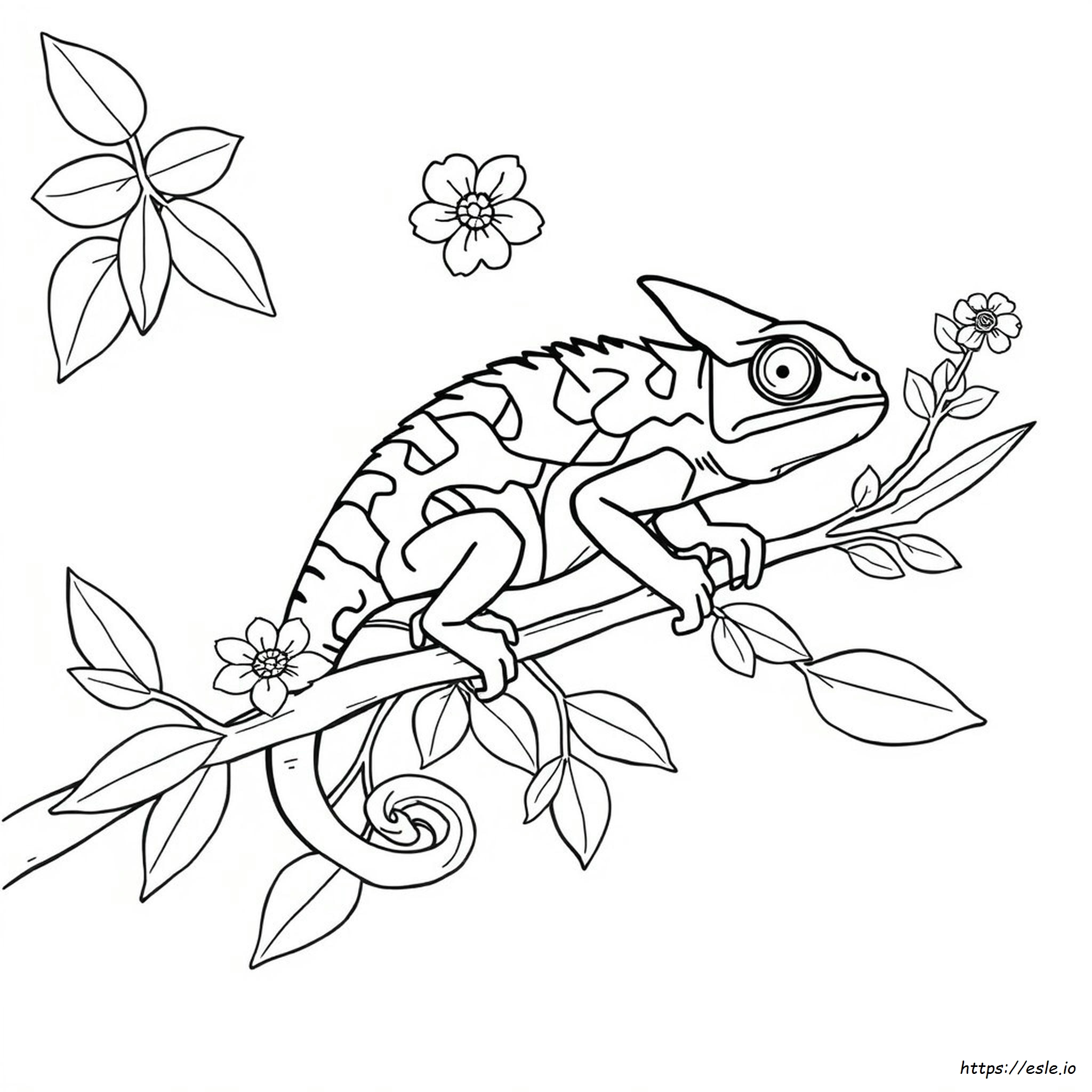 Chameleon Coloring Pages To Print