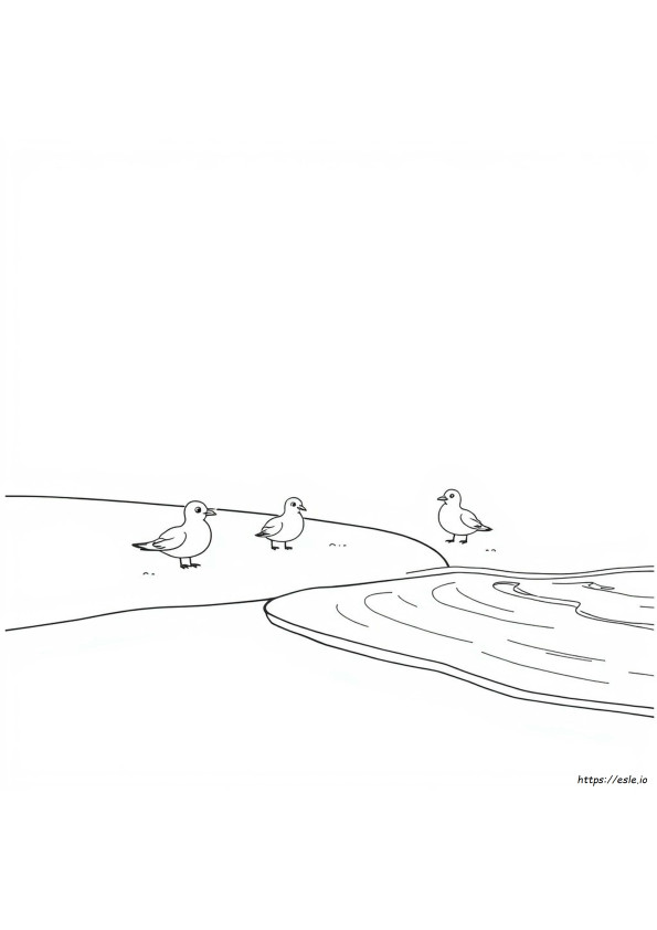 Shore Coloring Pages