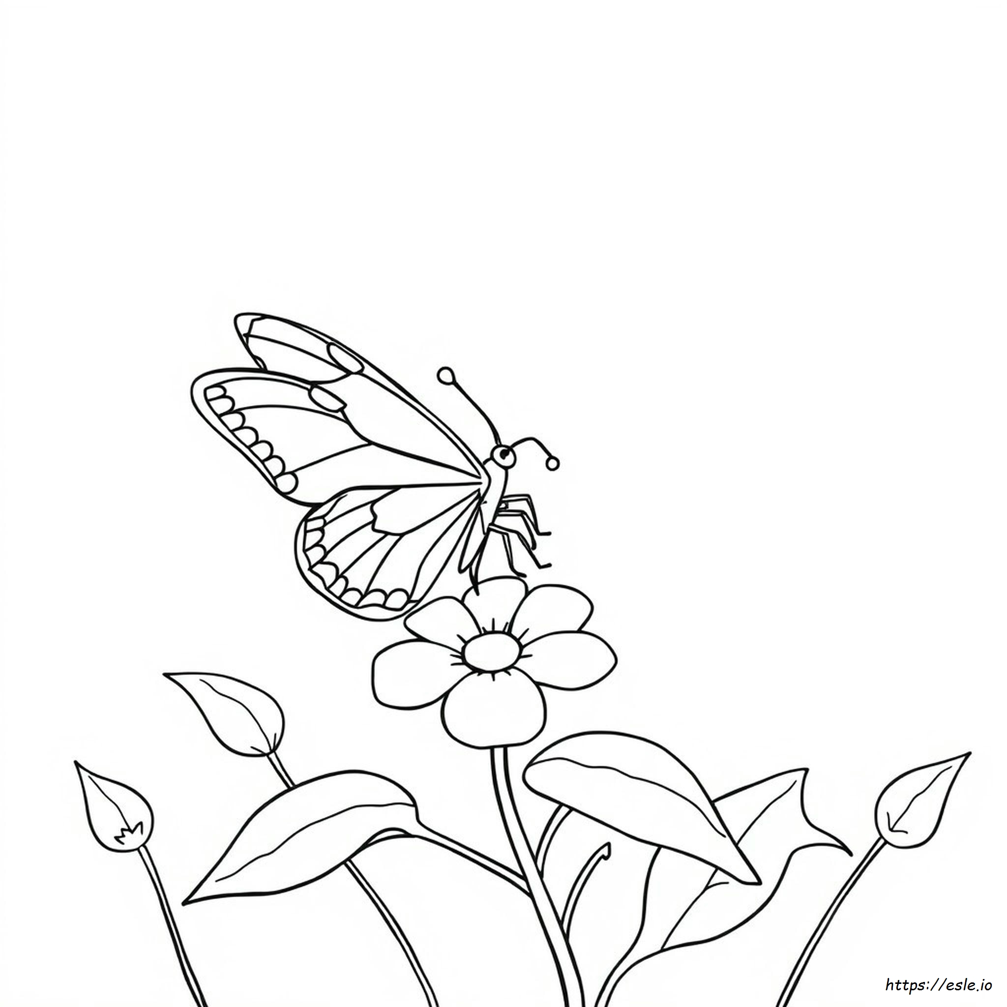 Dibujos Para Colorear De B