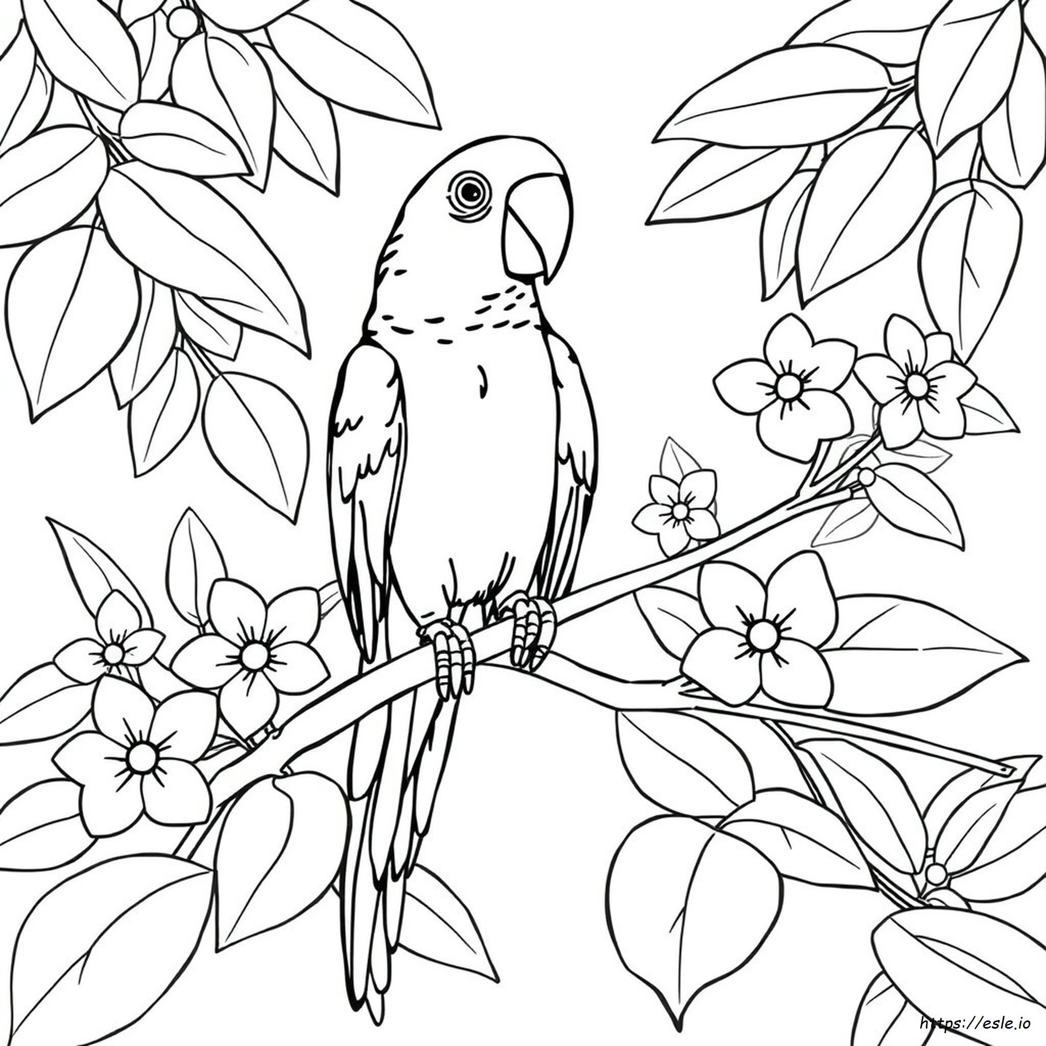 Papagaio Para Colorir