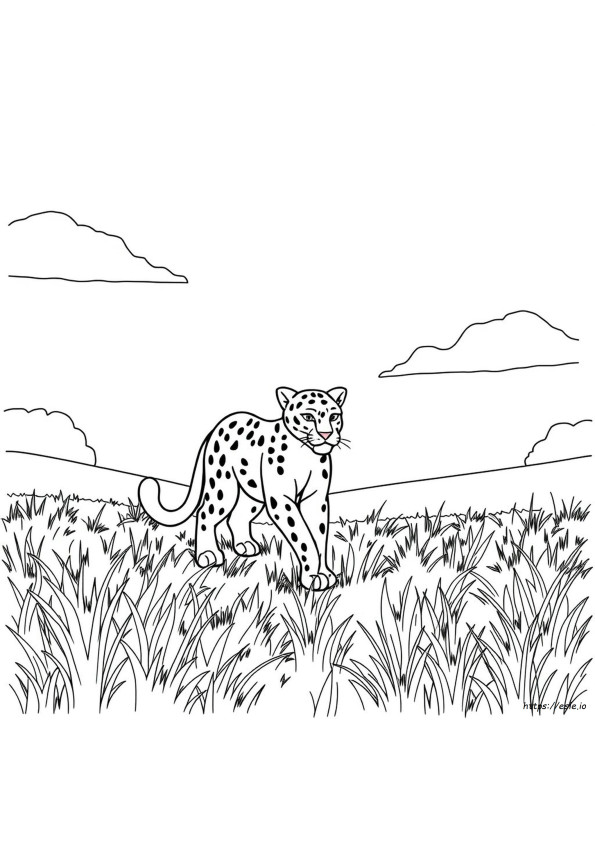 Free Panther Coloring Pages