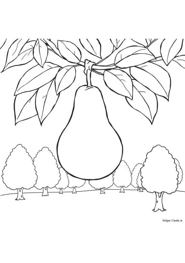 Peras Para Colorir