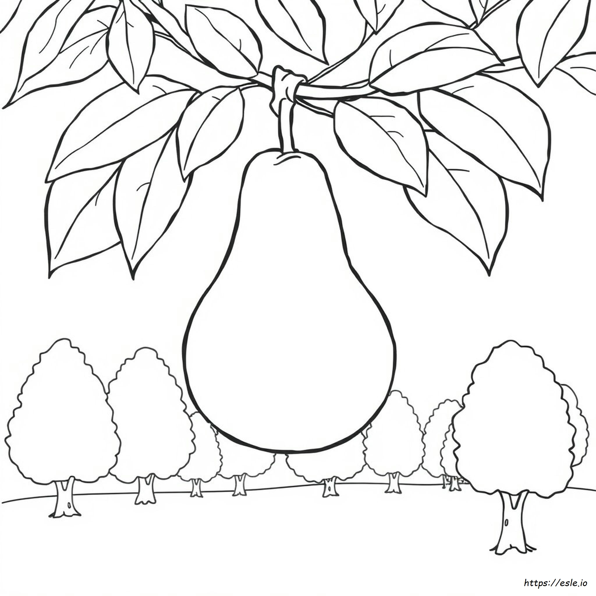 Pear Colouring Images