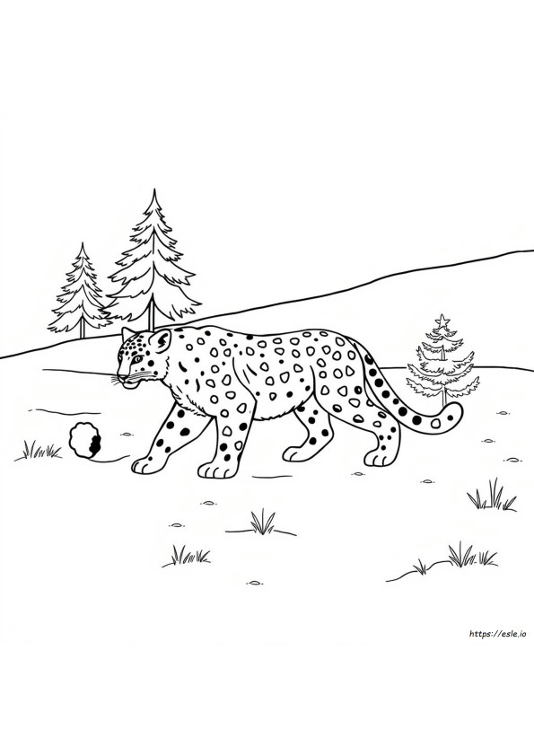 Leopardo Delle Nevi Da Colorare E Stampare