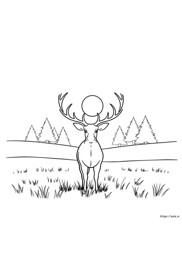 Coloriage Bois De Cerf