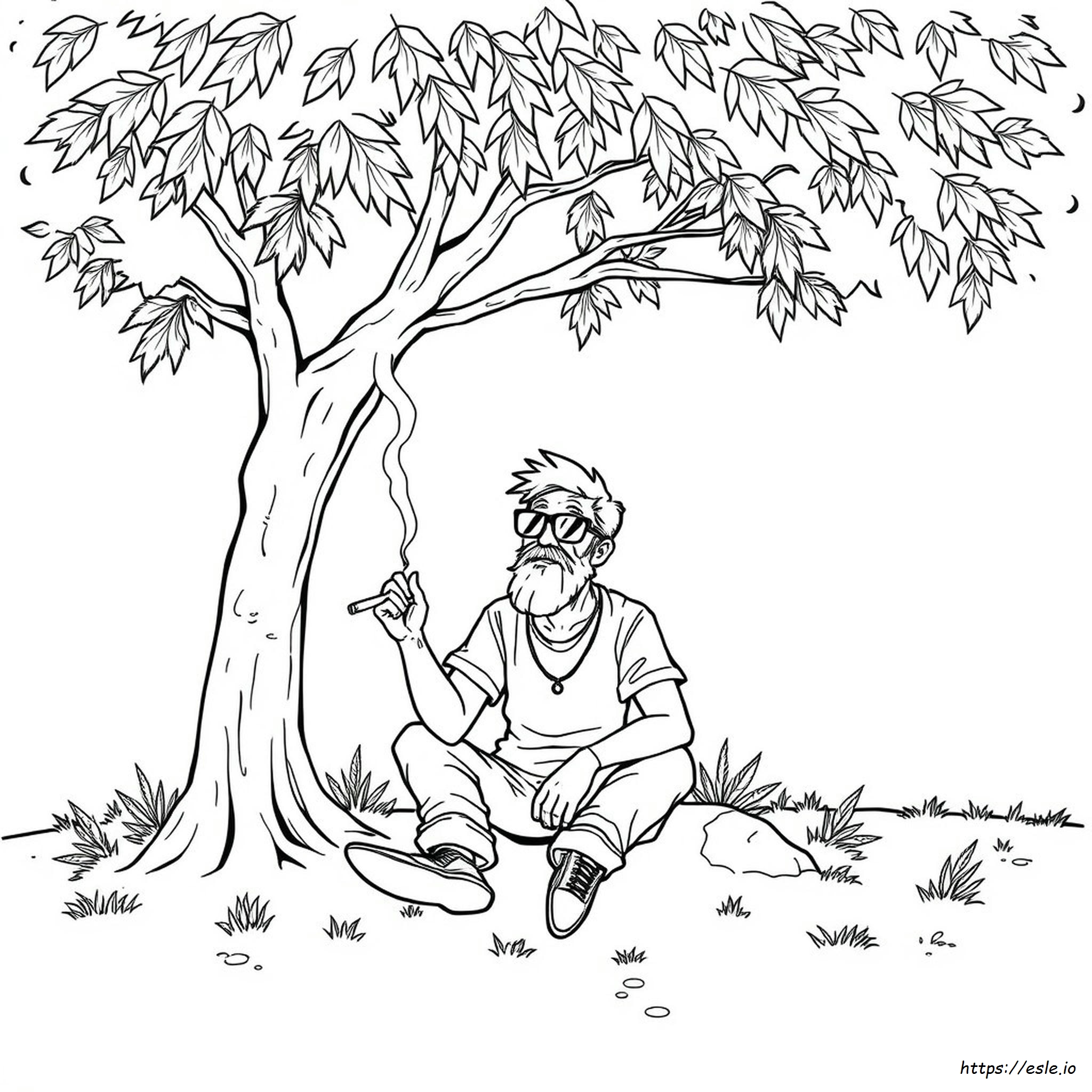 Livre De Coloriage Pour Adultes