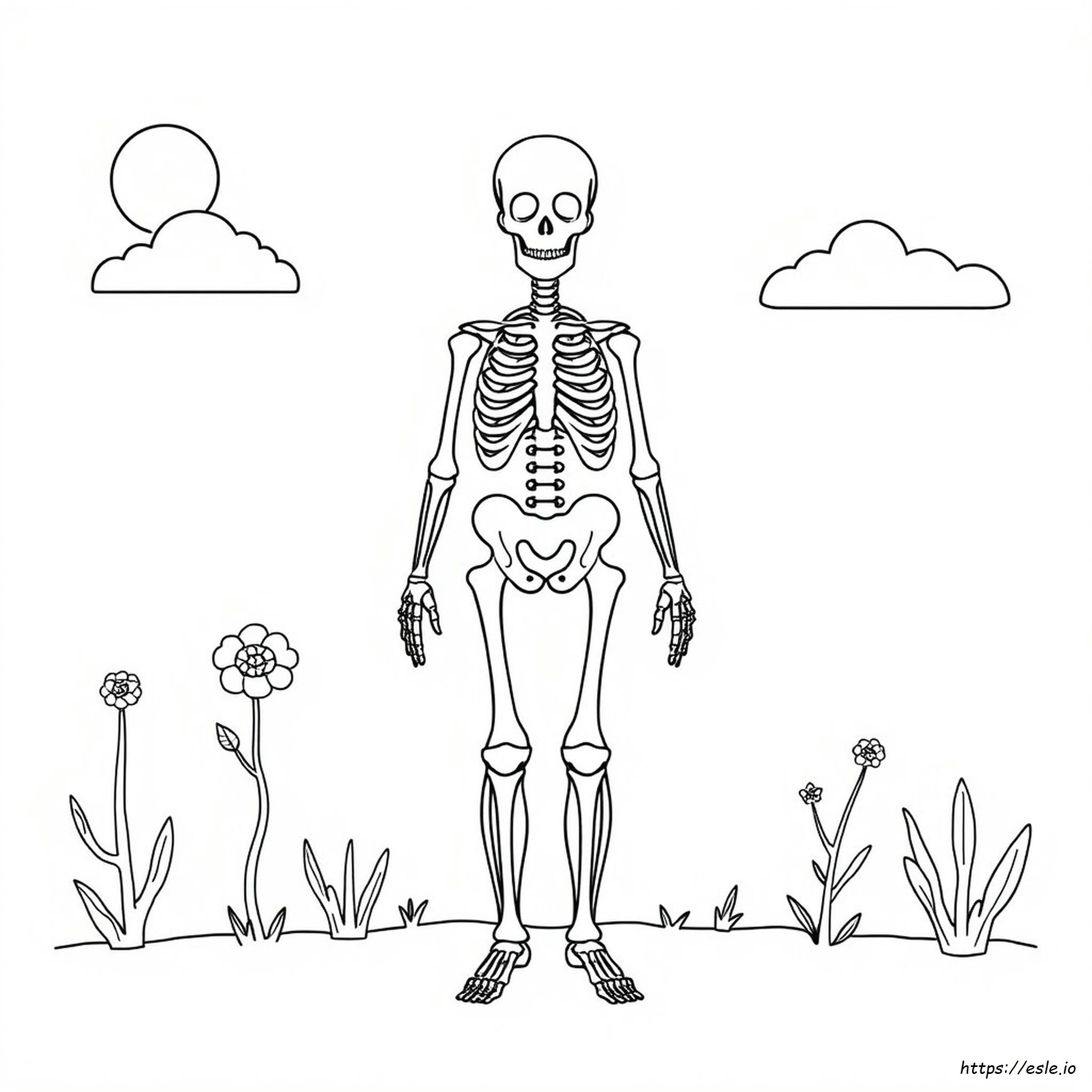 Printable Anatomy Coloring Pages