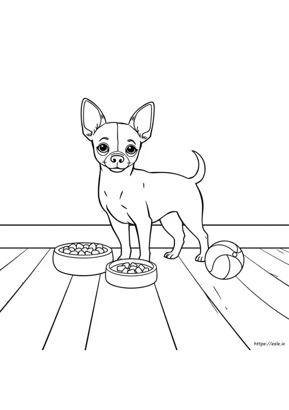 Chihuahua Colouring