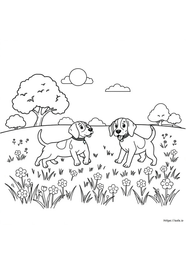 Beagle Värityskuva