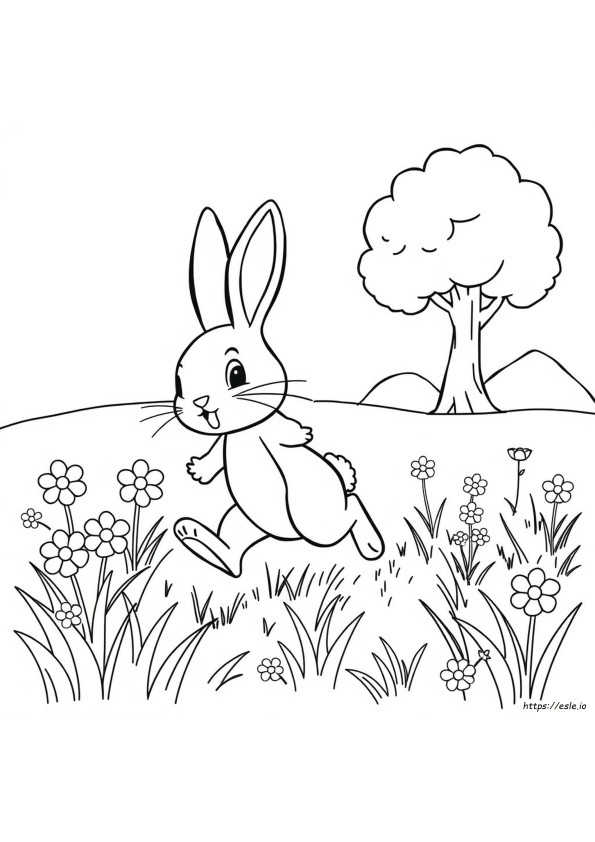 Coloriage Lapin École Maternelle