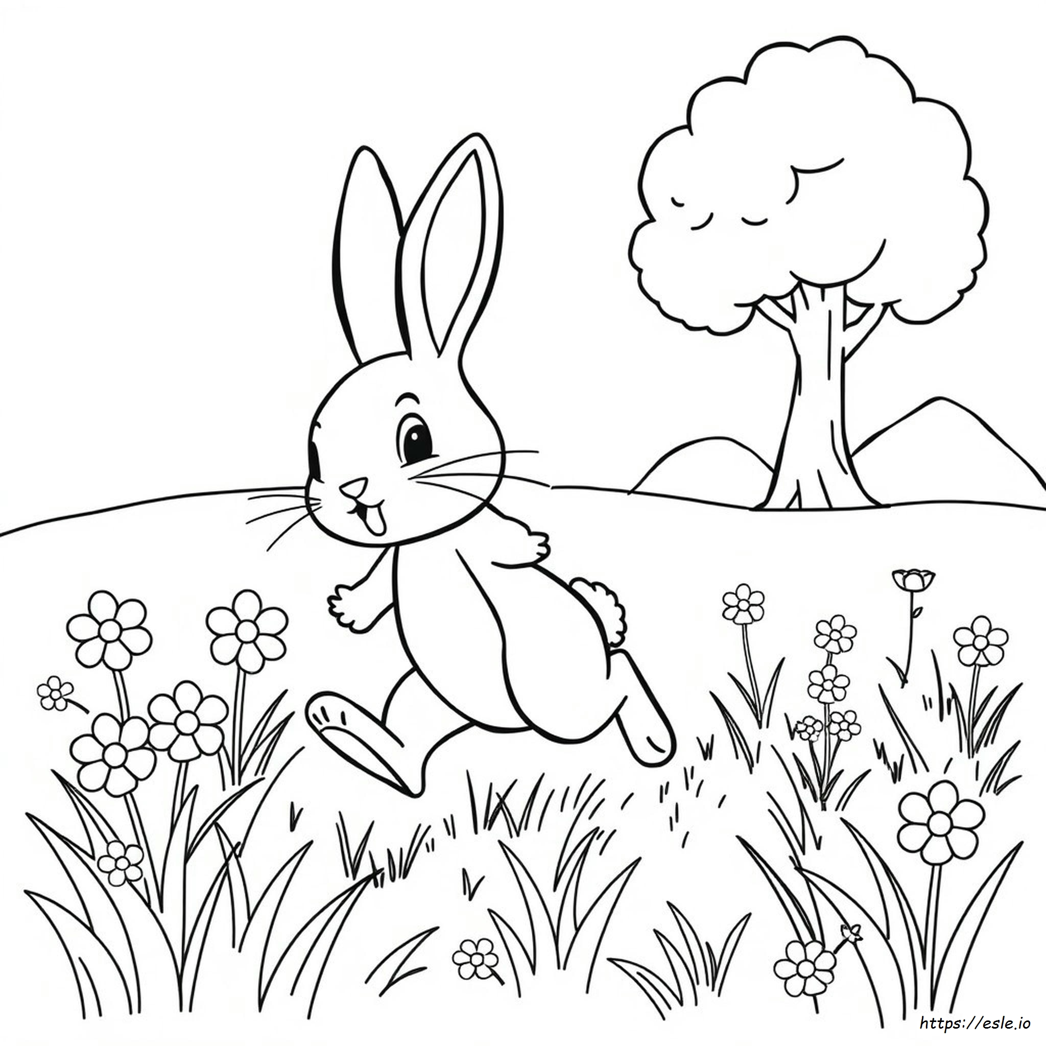 Preschool Bunny Coloring Pages