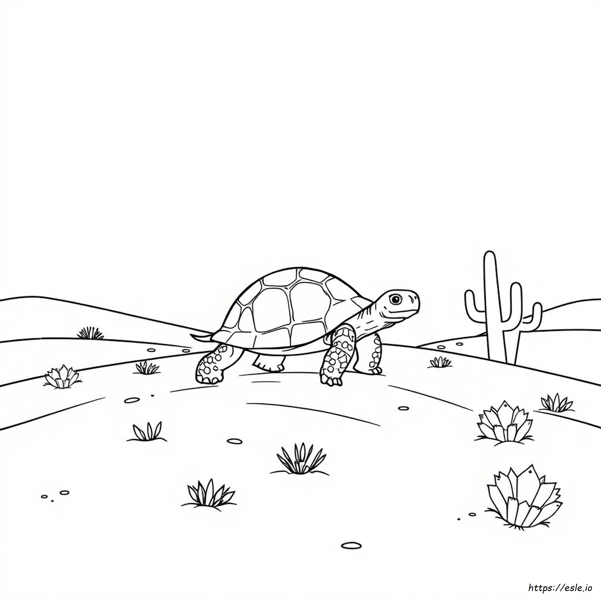 Desert Tortoise Coloring Page