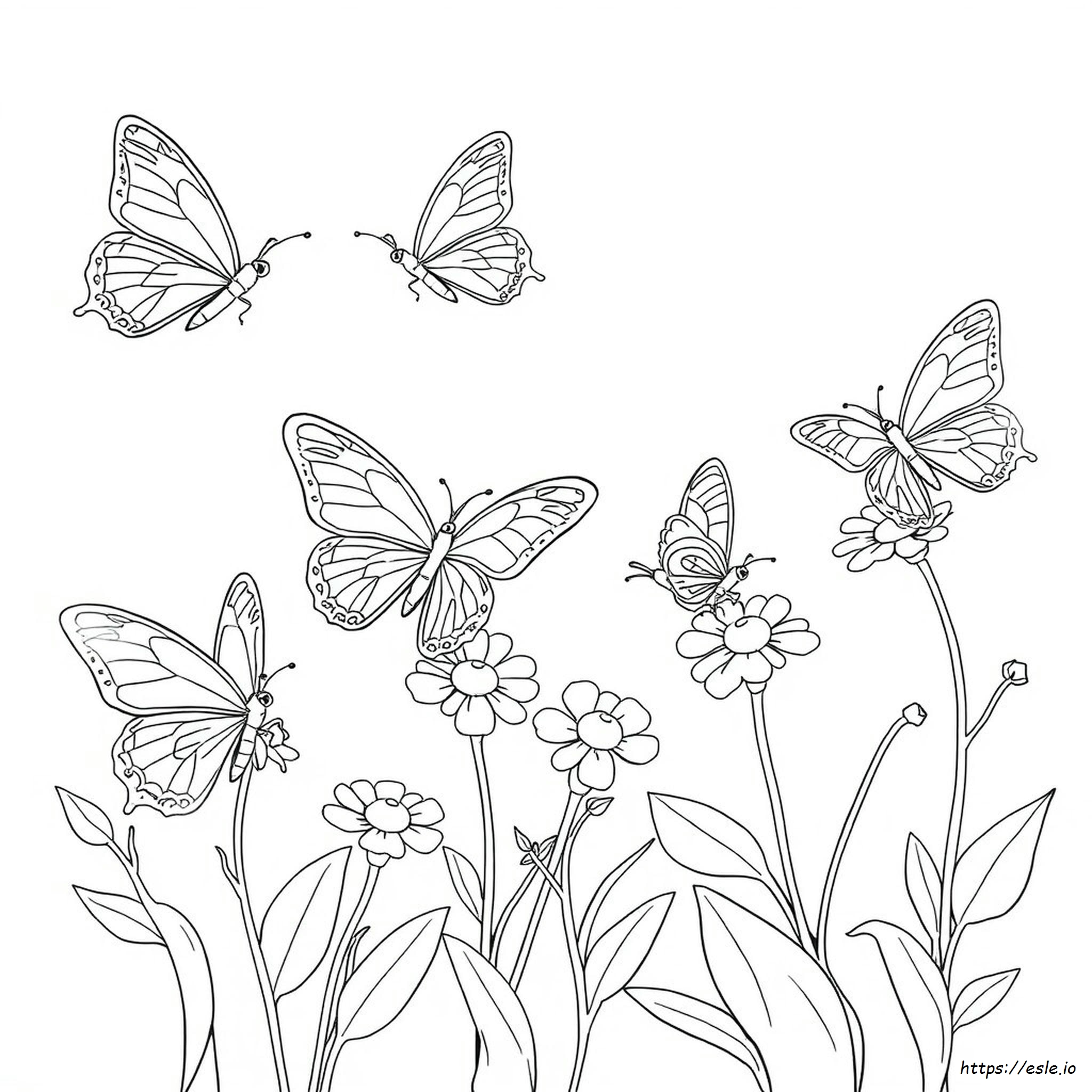 Butterfly Outline Multiple Butterfly Coloring Pages