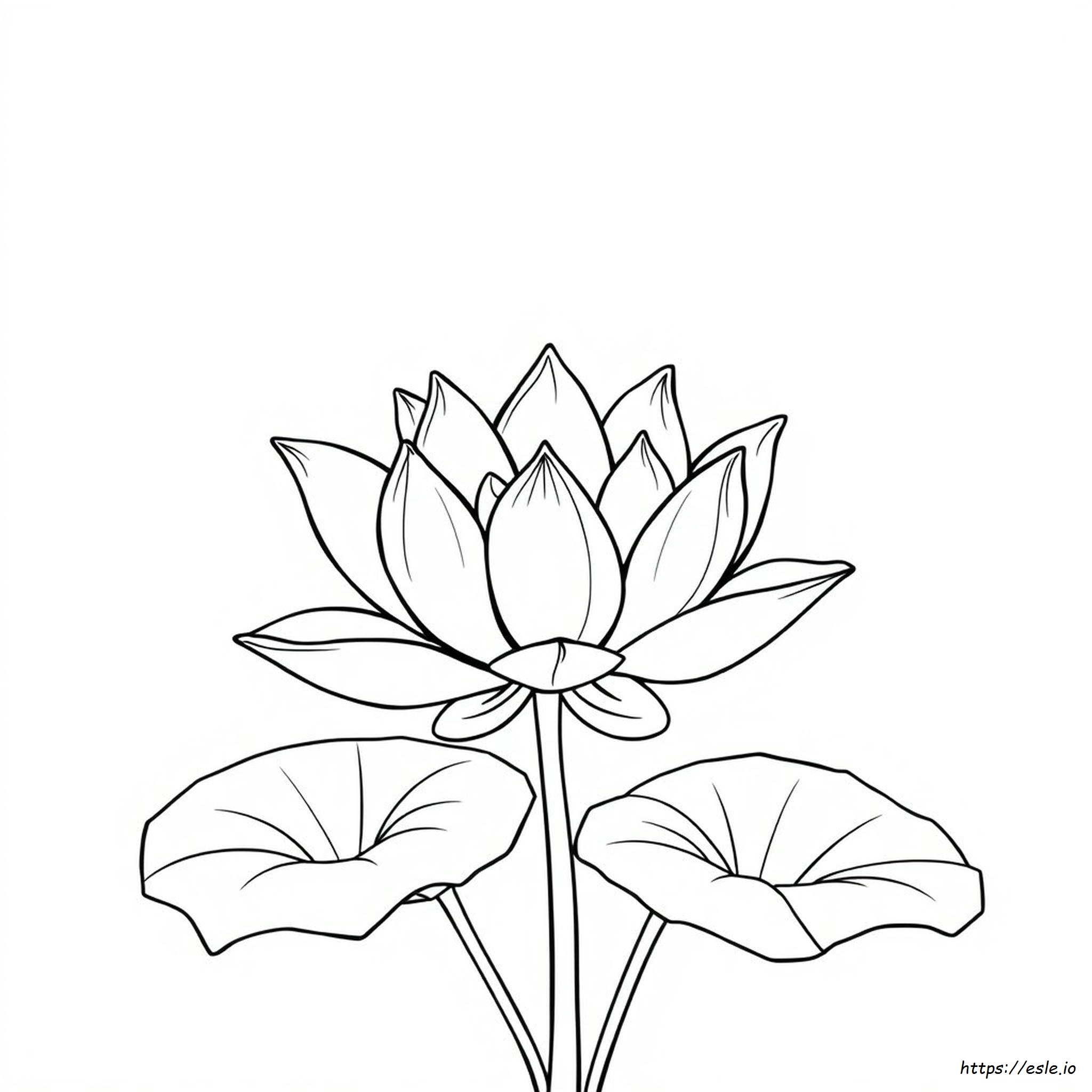 Lotus Umriss Zum Ausmalen