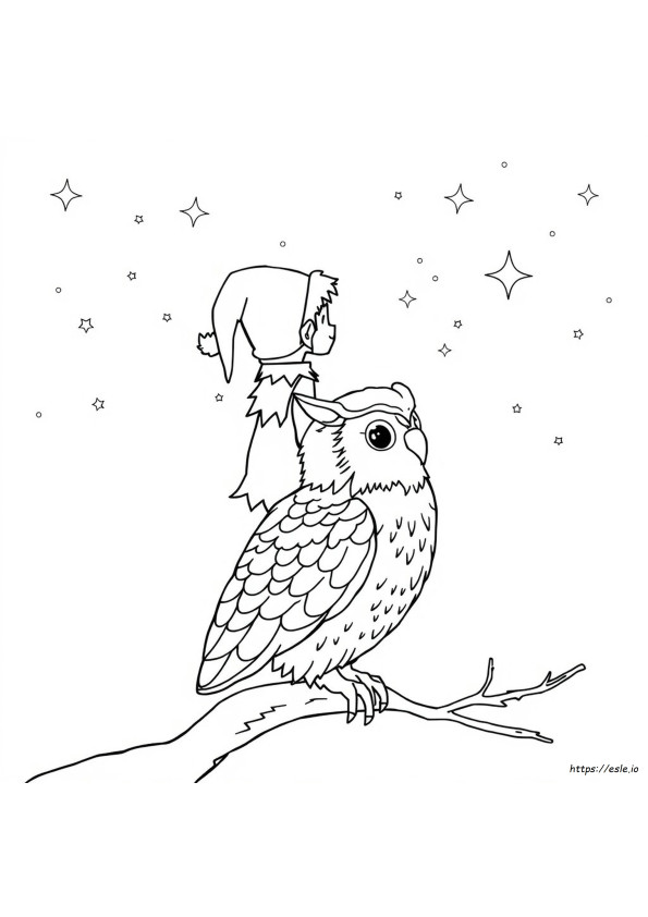 Elf Owl Coloring Page