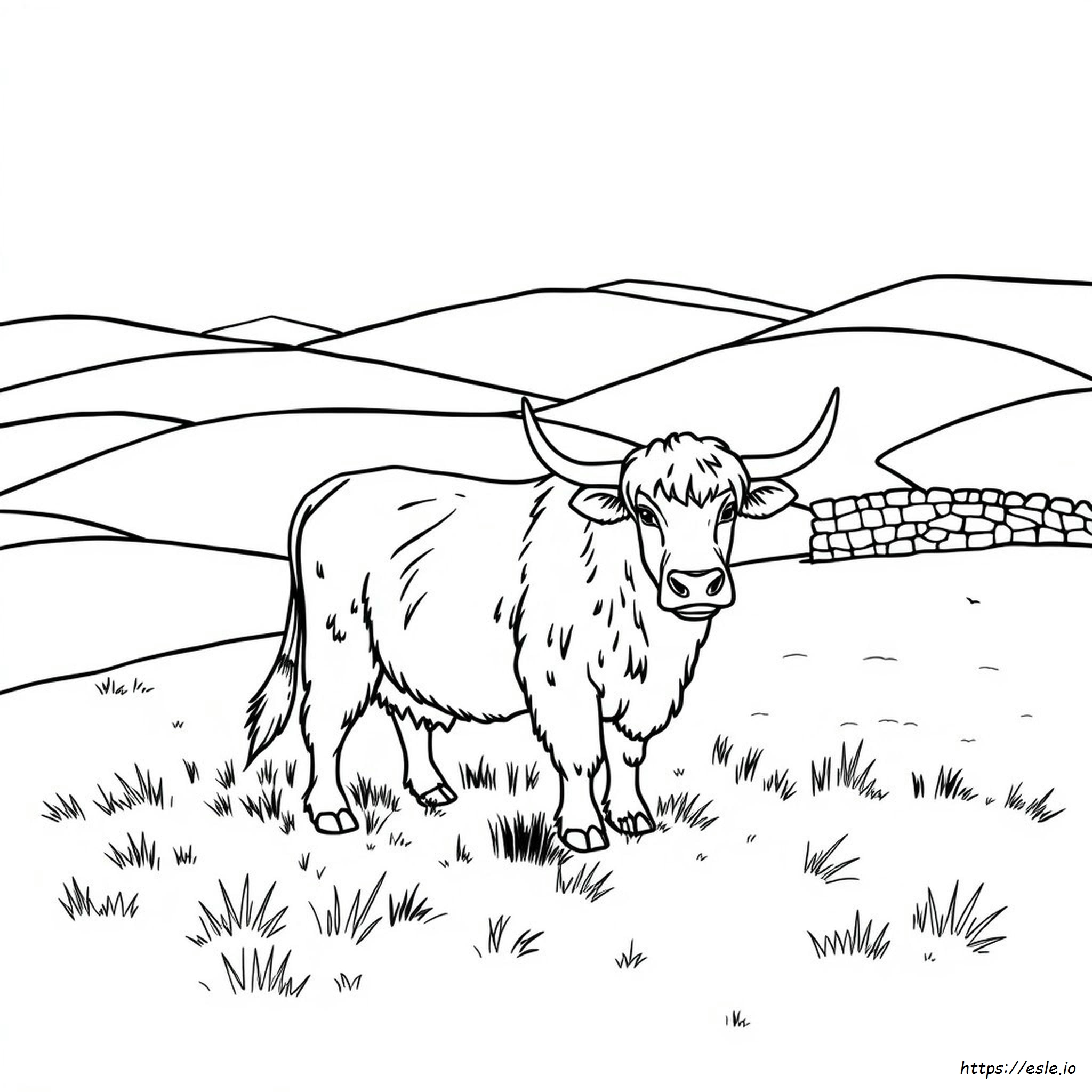 Free Printable Highland Cow Coloring Pages