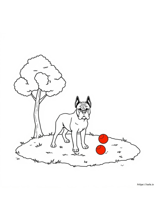 Coloriage Cane Corso