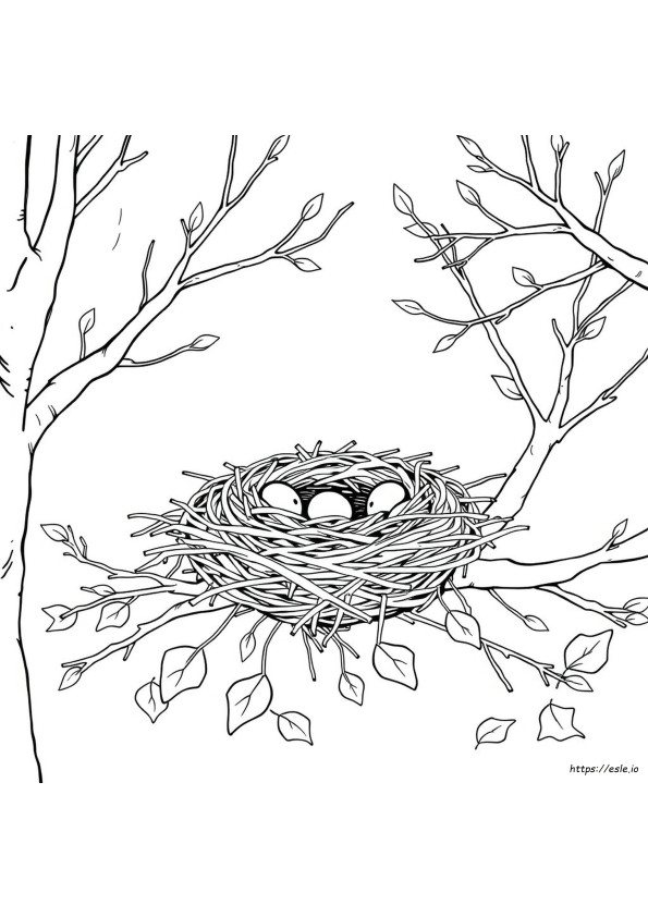 Coloriage Nid Vide