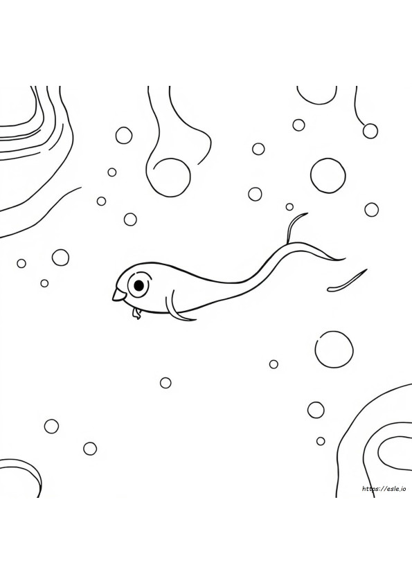 Spermaszám Kifestő