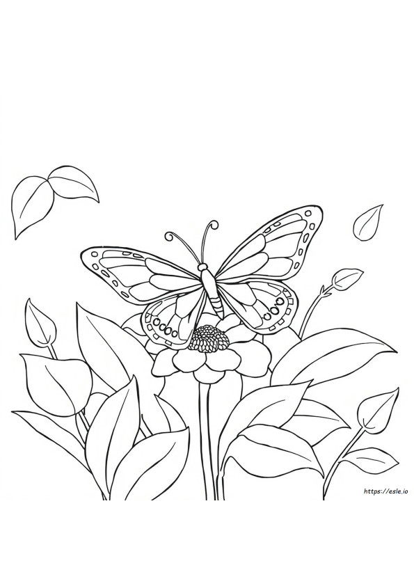 Mariposa Para Colorear