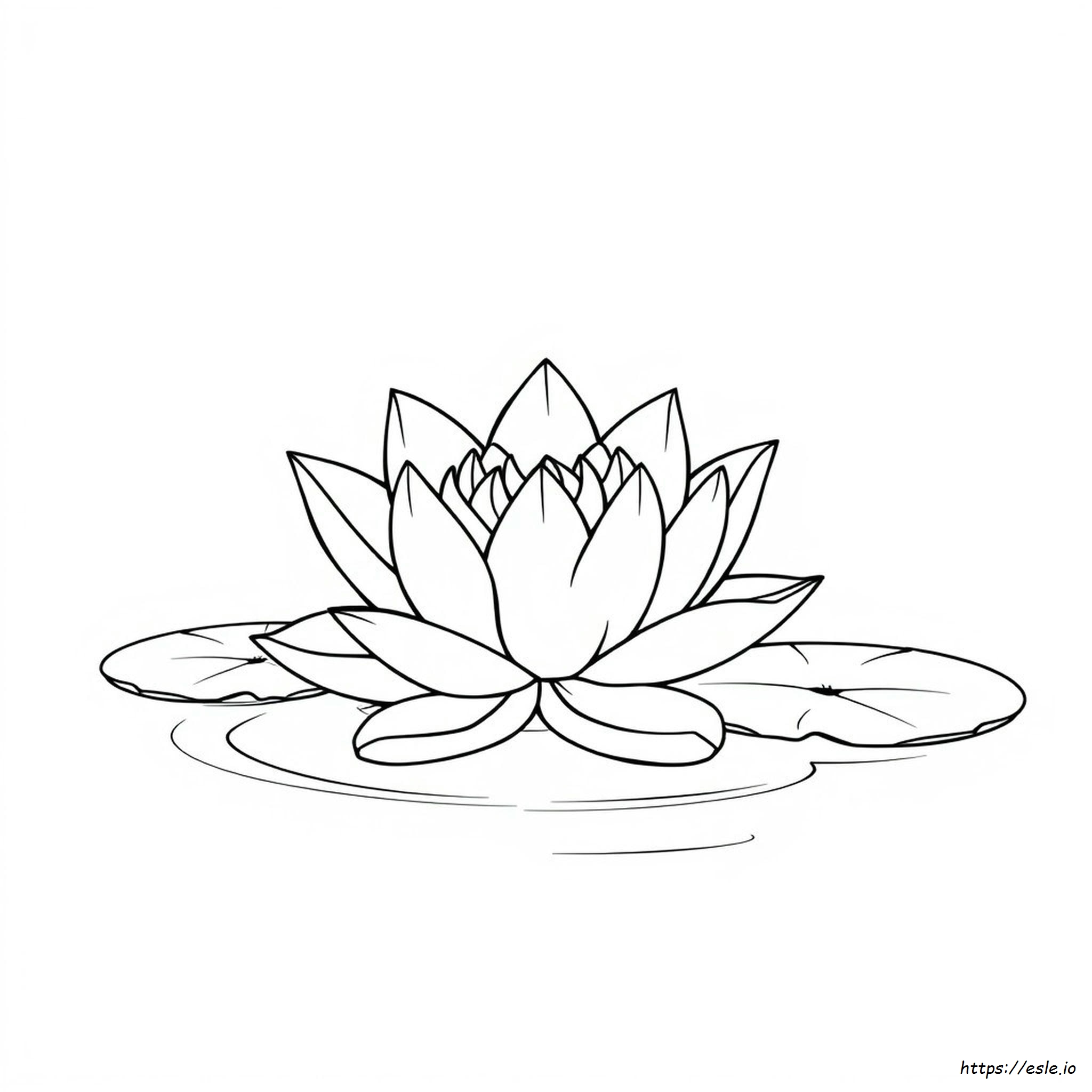 Lotus Flower Colouring