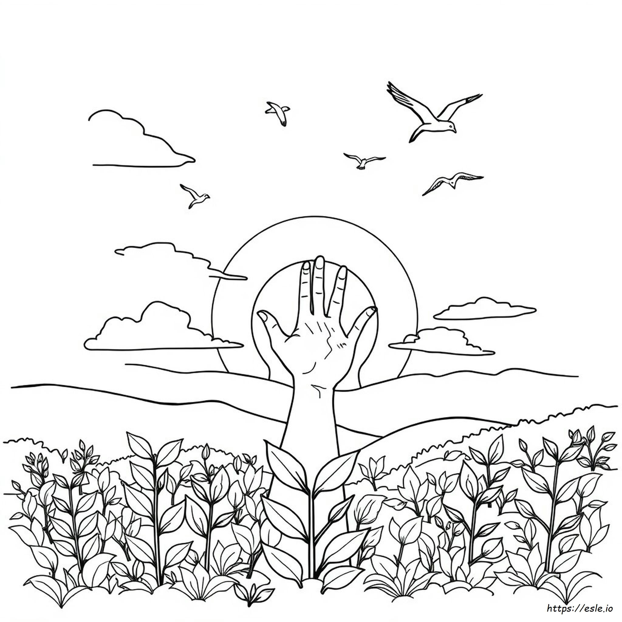 Free Coloring Pages On Creation