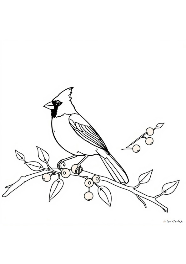 Le Cardinal Change-T-Il De Couleur