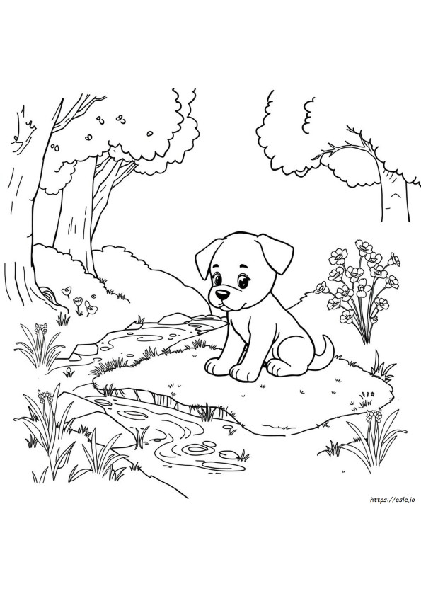 Detailed Puppy Coloring Pages