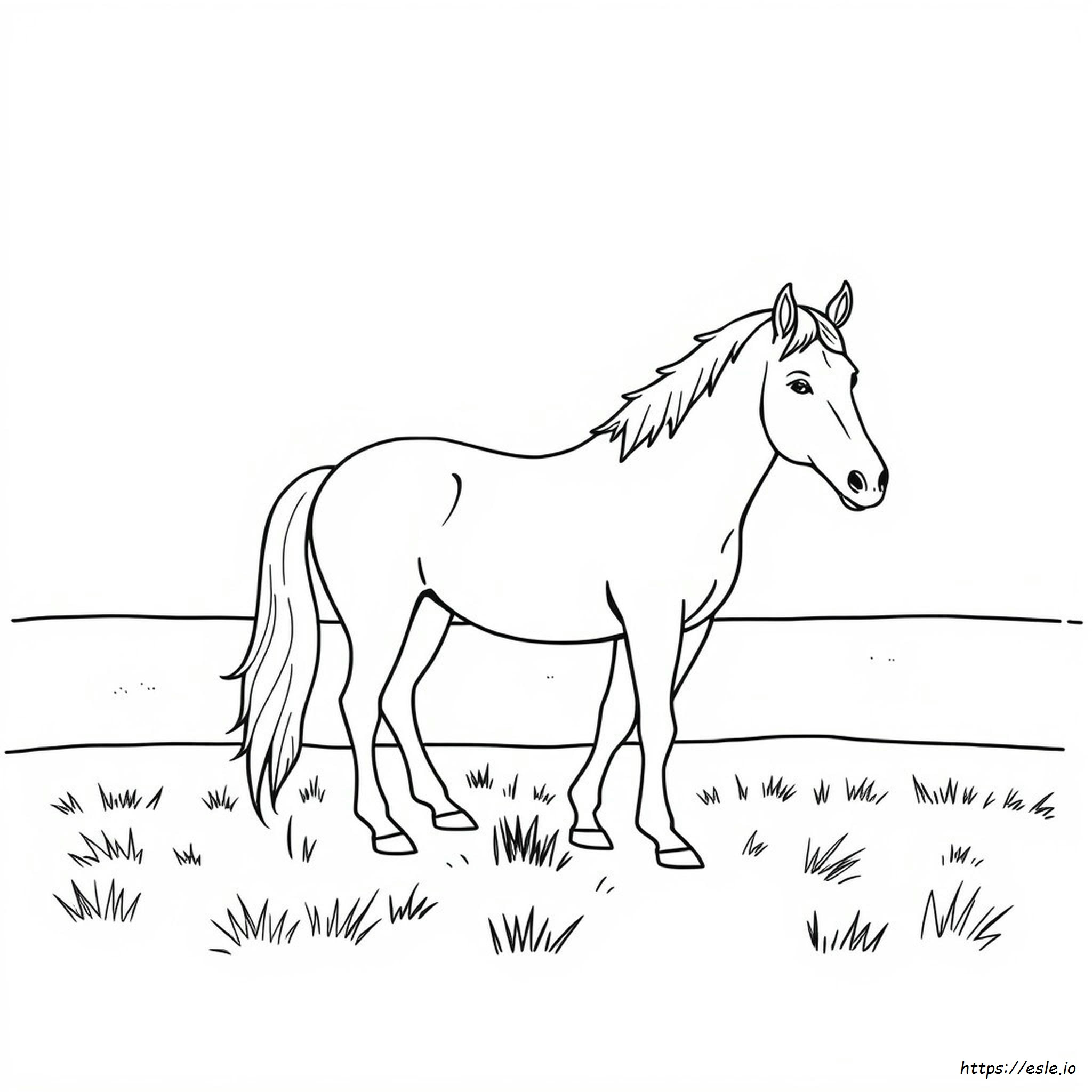 Coloriage Cheval Imprimer Coloriage Cheval Imprimer